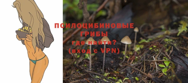 ALPHA PVP Алексеевка
